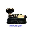SNDP-Ranganathar-12 inches-M02 (SNPK140) 