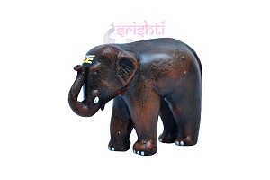 SVPD-Elephant-Small (SNVP0032) 